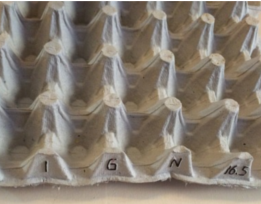 Egg Trays