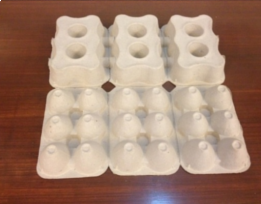 Egg Cartons